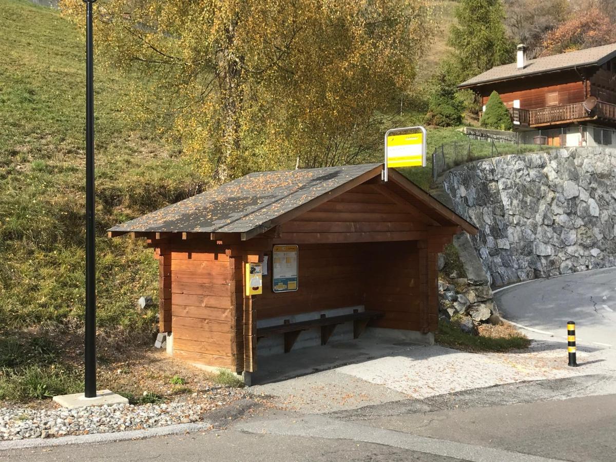 Chalet Le Fertin La Tzoumaz Kültér fotó